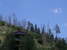 SAMSUNG CAMERA PICTURES