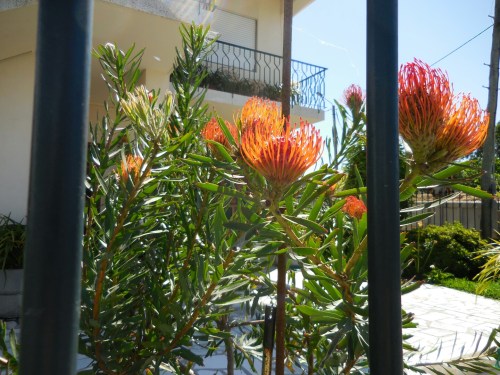 wp-1432746648883 image