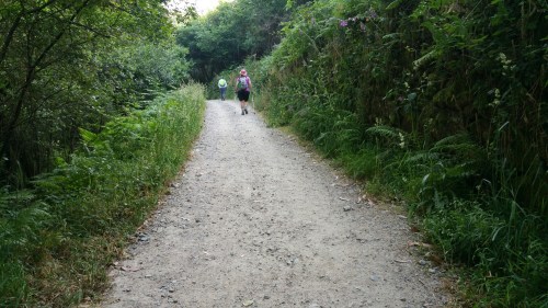 wp-1433478267484 image