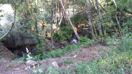 wp-1433478452420 image