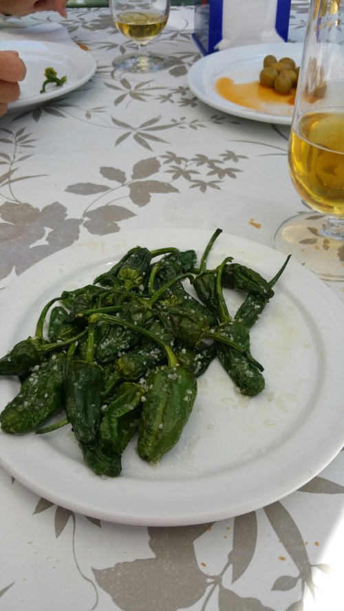 wp-1433478731204 image